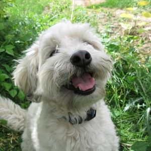 Meet your Posher, Justine